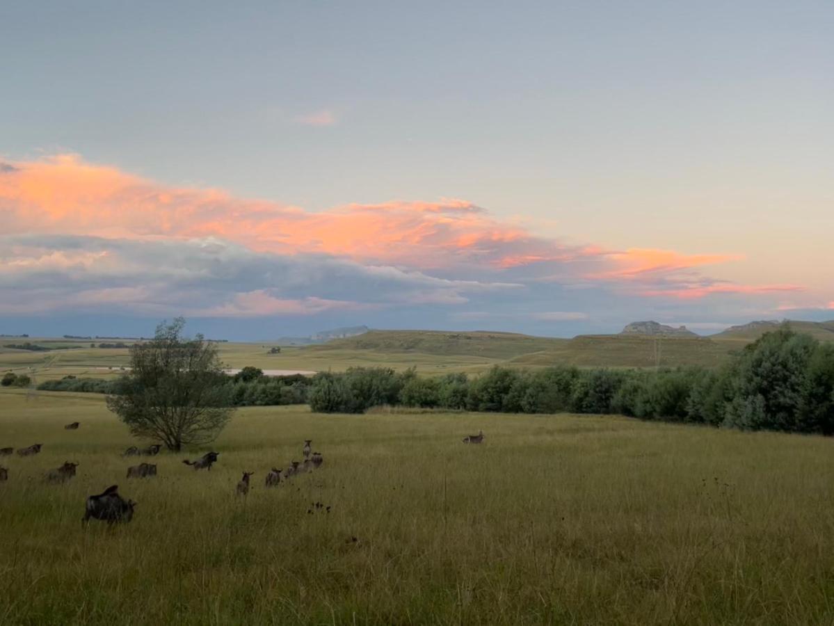 Buffalo Hills Private Game Reserve Harrismith Eksteriør billede