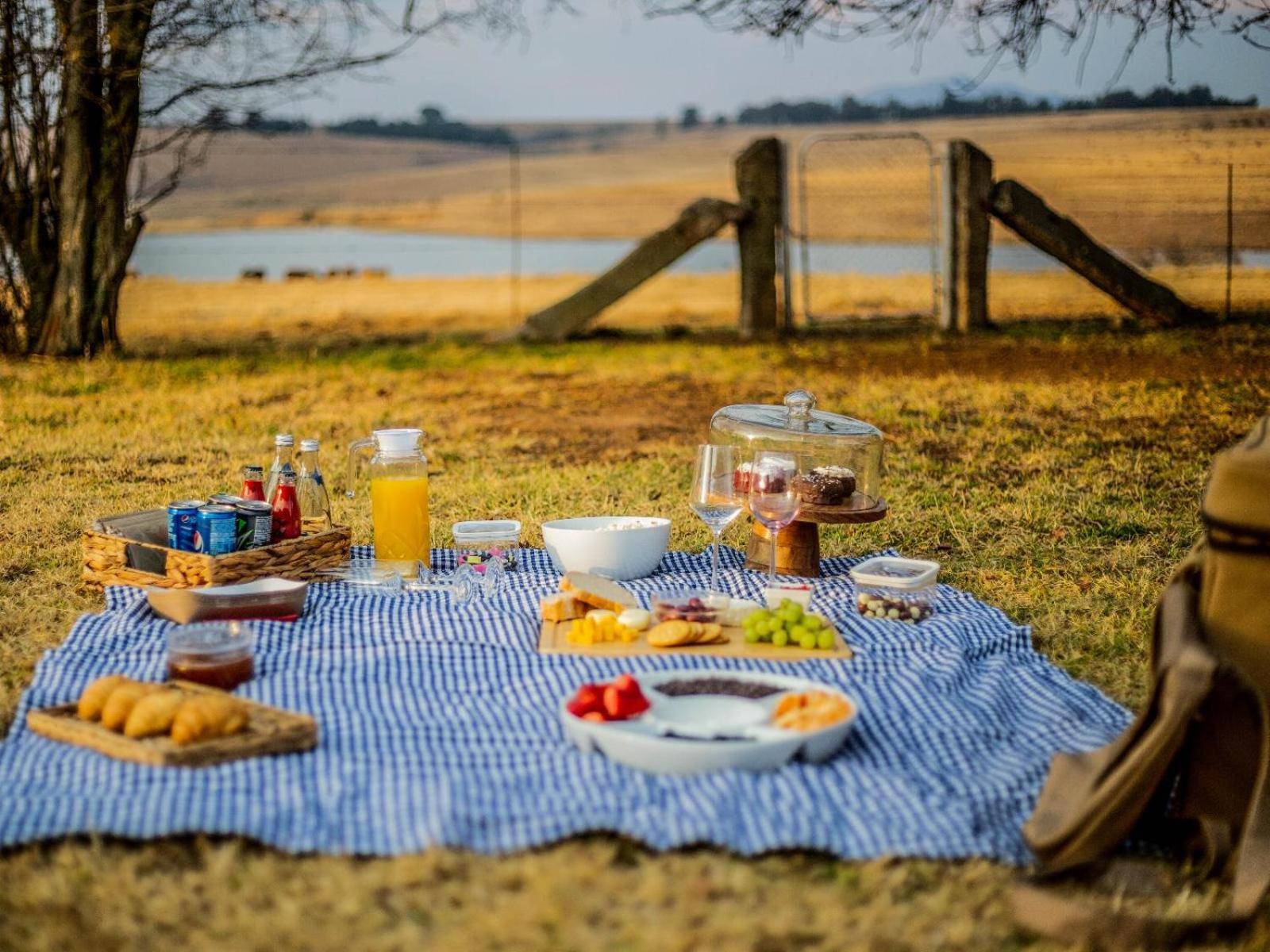 Buffalo Hills Private Game Reserve Harrismith Værelse billede